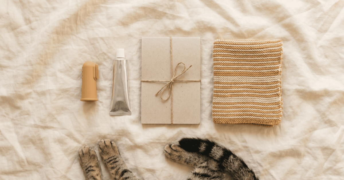 A flat-lay on warm cream linen of a soft cat-specific finger toothbrush, a small tube of unlabeled cat-safe dental gel, a folded paper notepad, and a small fabric blanket with a calm tabby cat at the edge of frame.