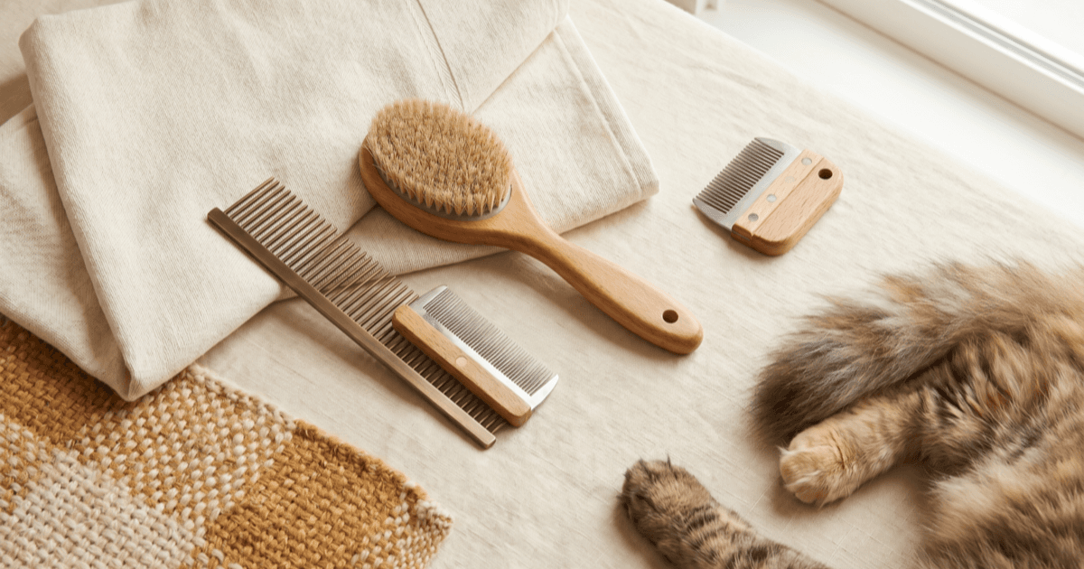A flat-lay on warm cream linen of a wide-tooth metal comb, a slicker brush, a small de-matting comb, a folded fabric towel, with a calm long-haired tabby cat partly visible at the edge of frame.