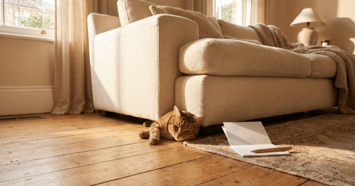 A calm tabby cat partly visible from underneath a soft cream sofa in a warmly lit living room, with a folded paper notepad and a pen on the wooden floor nearby.