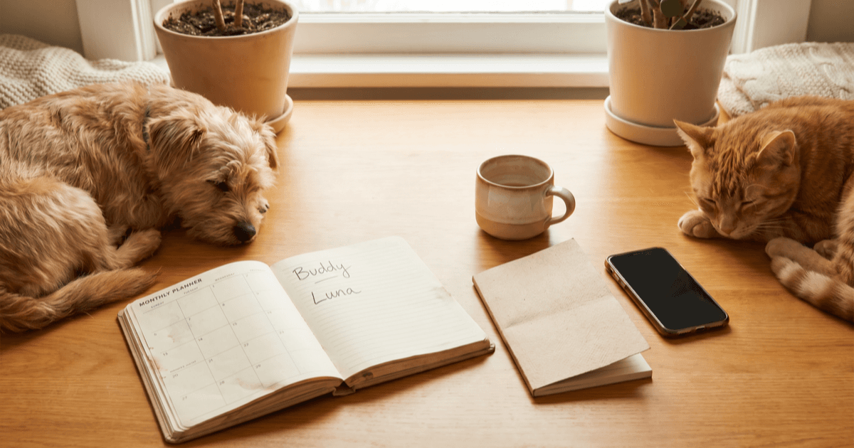 A warm desk scene with a paper monthly planner with two visible pet names handwritten, a folded paper notepad, a smartphone, a small ceramic mug, and a calm dog and tabby cat resting at the edge of frame.