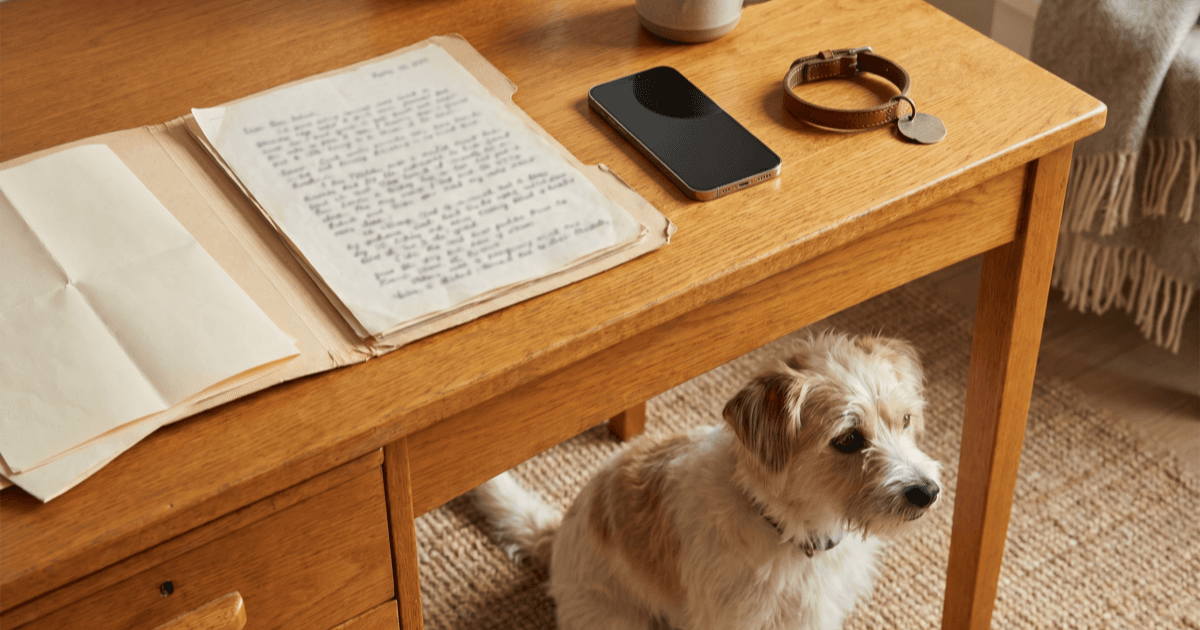 A warm wooden desk with an open small manila folder containing adoption records, a folded vaccine record sheet, a smartphone, a small leather collar with a blank tag, and a calm small dog beside the desk.