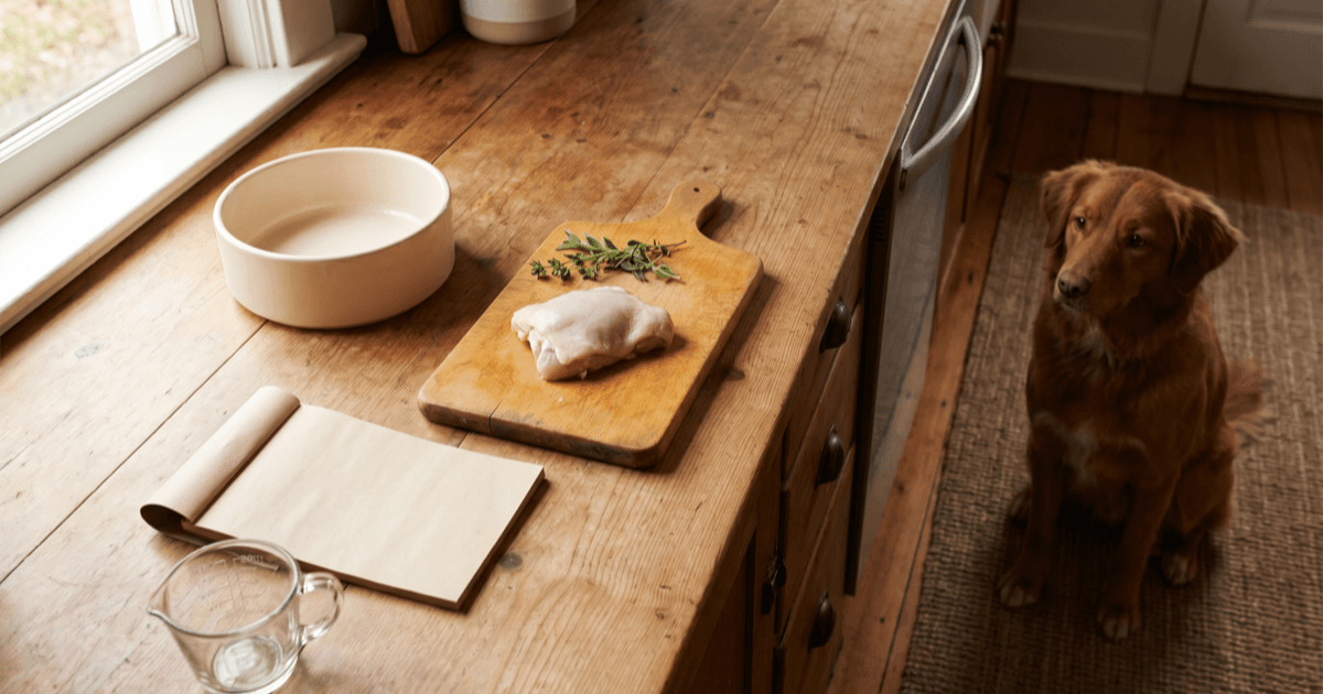 A warm kitchen counter of a clean ceramic pet food bowl, a small wooden cutting board with raw chicken and leafy greens, a folded paper notepad, and a calm medium-sized brown dog sitting nearby.