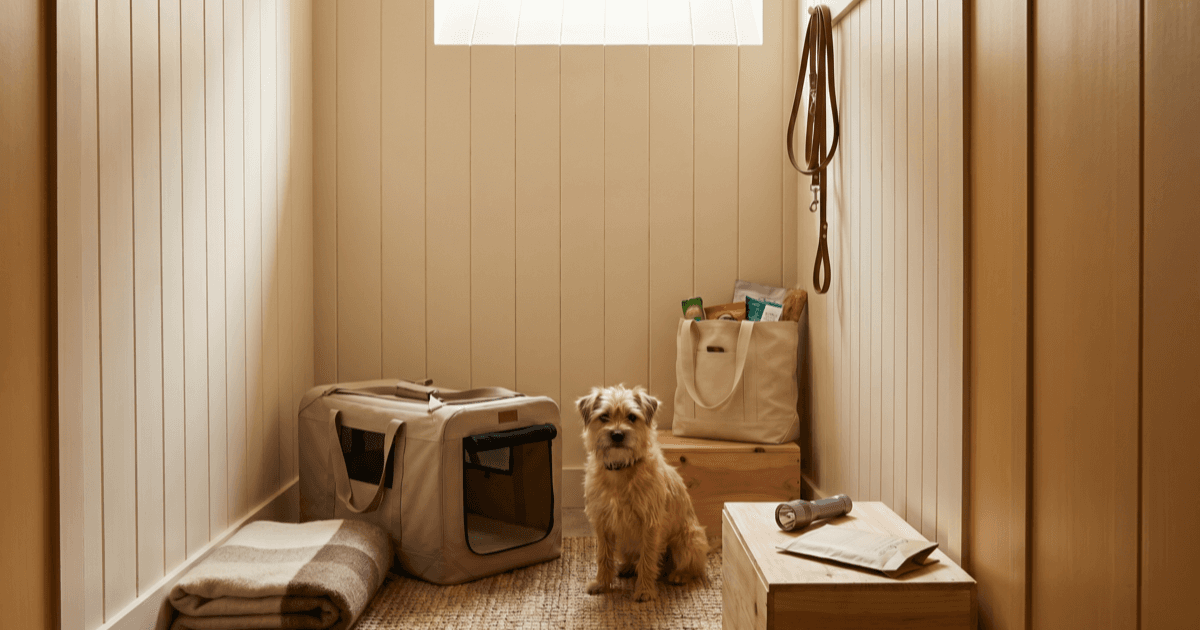 A calm basement or interior safe-room space with a soft-sided pet carrier near a folded blanket, packed canvas tote with paper packet and flashlight, coiled leash, and calm small dog sitting nearby.