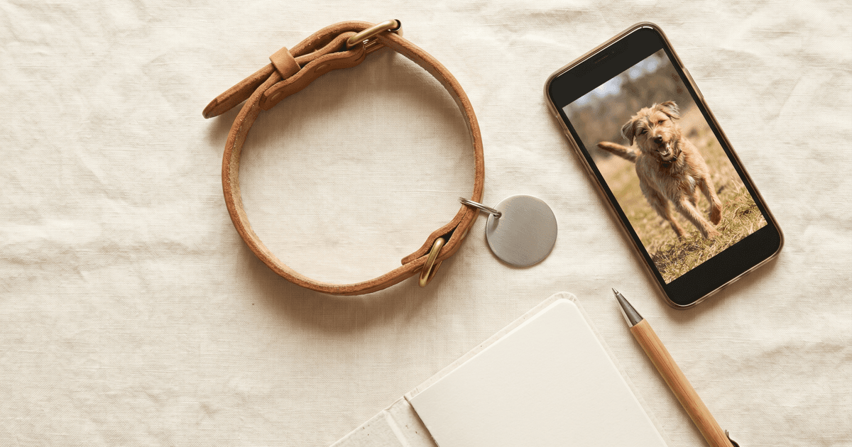 Top-down view of pet care items — a leather collar, a small ID tag, a phone showing a pet photo, and a notepad — arranged on a warm cream linen background.