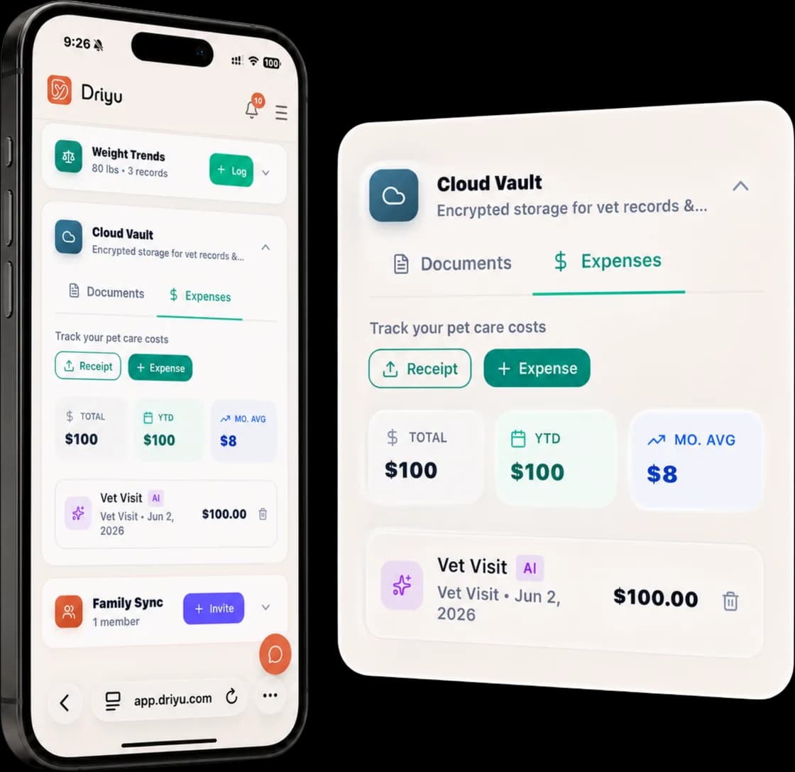 Cloud Vault Expenses tab on a phone tracking pet-care costs with a total, year-to-date and monthly-average summary and a vet-visit expense row.