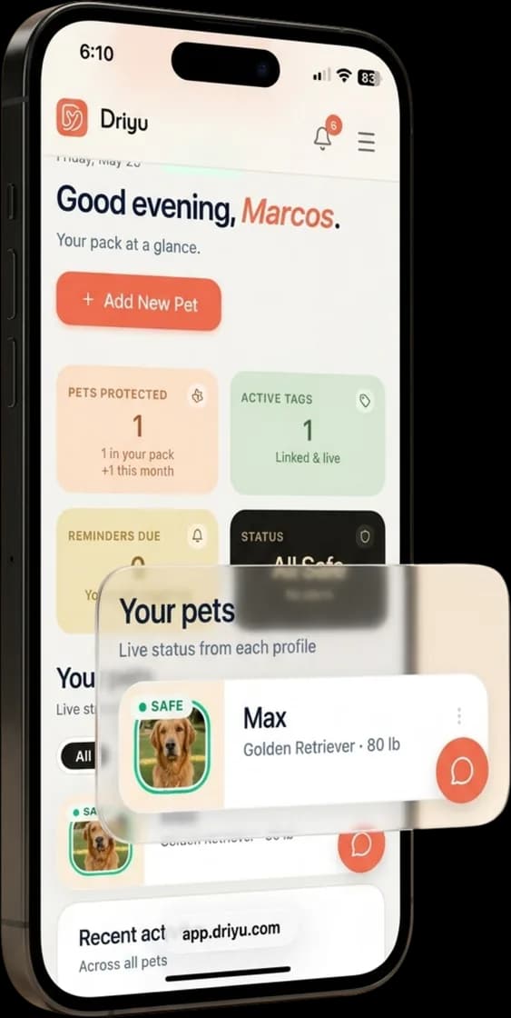 Driyu home dashboard greeting the owner with a pack-at-a-glance summary — pets protected, active tags, and a Golden Retriever named Max marked safe.