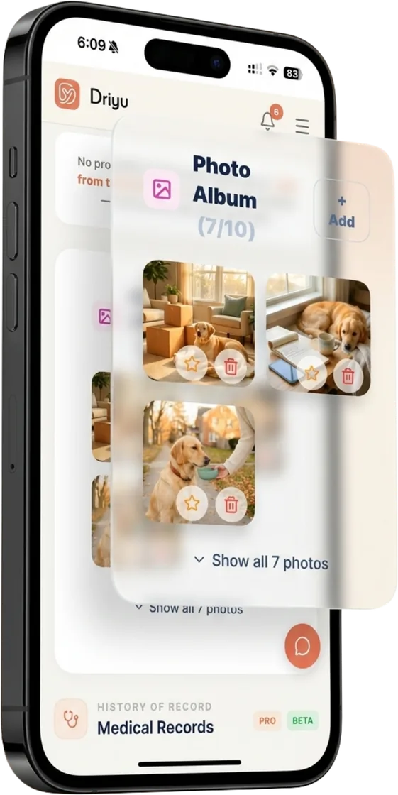 Driyu pet profile on a phone with a photo album panel showing several pictures of a dog and an option to view all photos, kept alongside the pet recovery details. Sample screen shown.