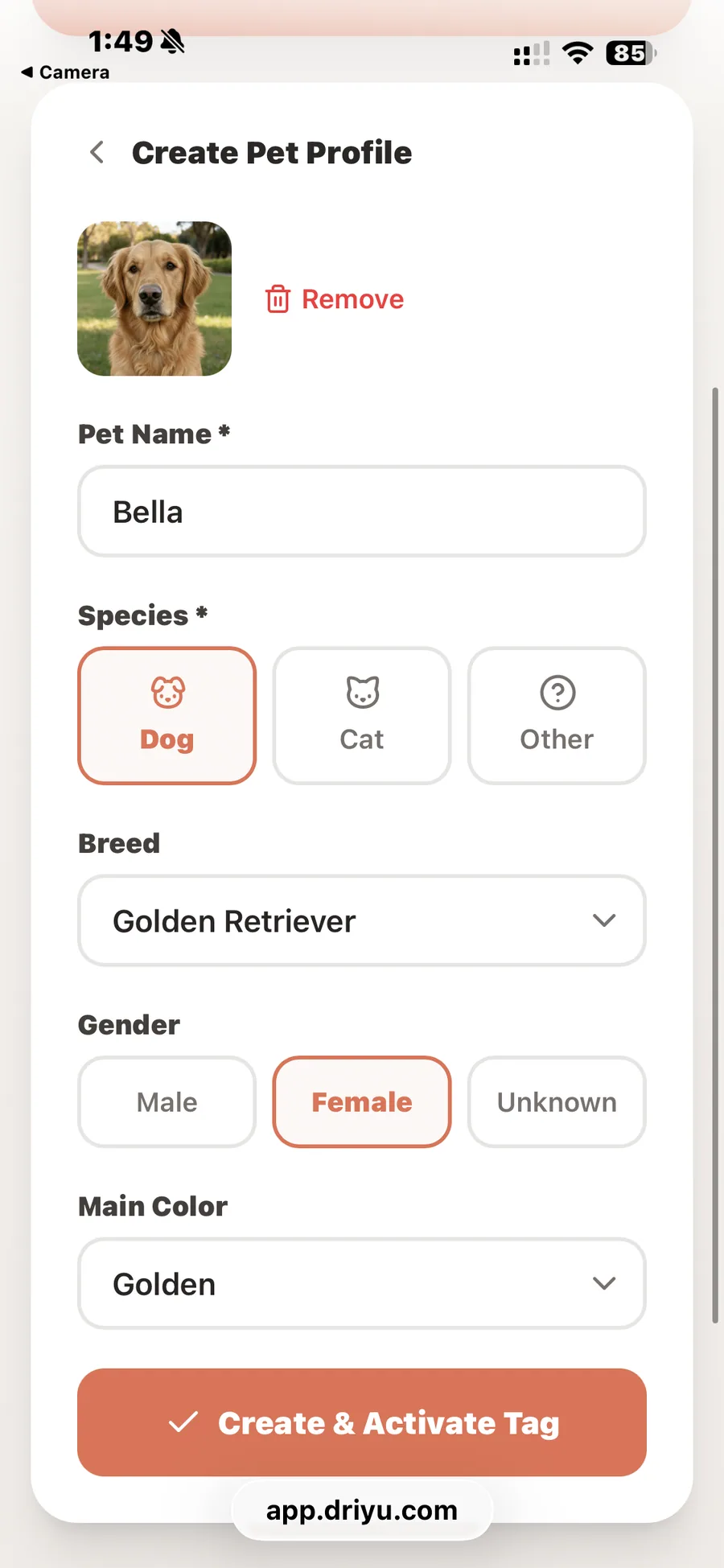The Create Pet Profile screen in the Driyu app, showing a golden retriever photo added with the name Bella, species Dog, breed Golden Retriever, and an orange Create and Activate Tag button.