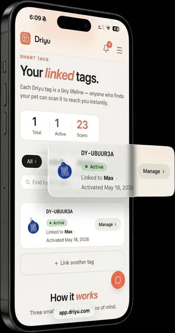 The linked-tags screen on a phone at an angle showing a tag card linked to a pet and a Link another tag button.